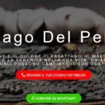Il Mago del Peloro: Servizi offerti e profilo